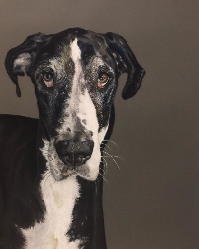 Abby - chalk pastel - 2016