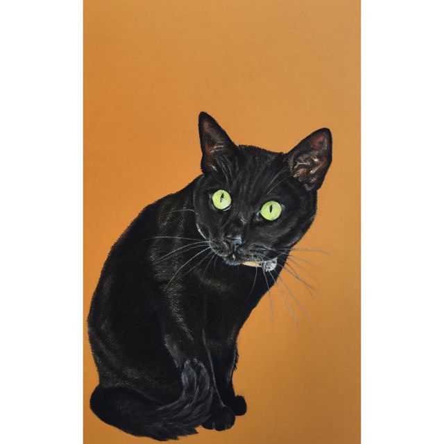 Batsu - chalk pastel - 2014