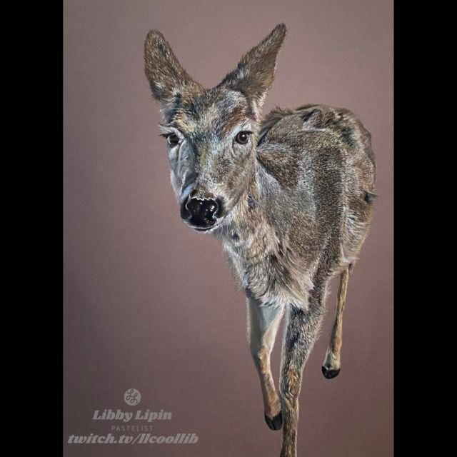 Doe - chalk pastel - 2022