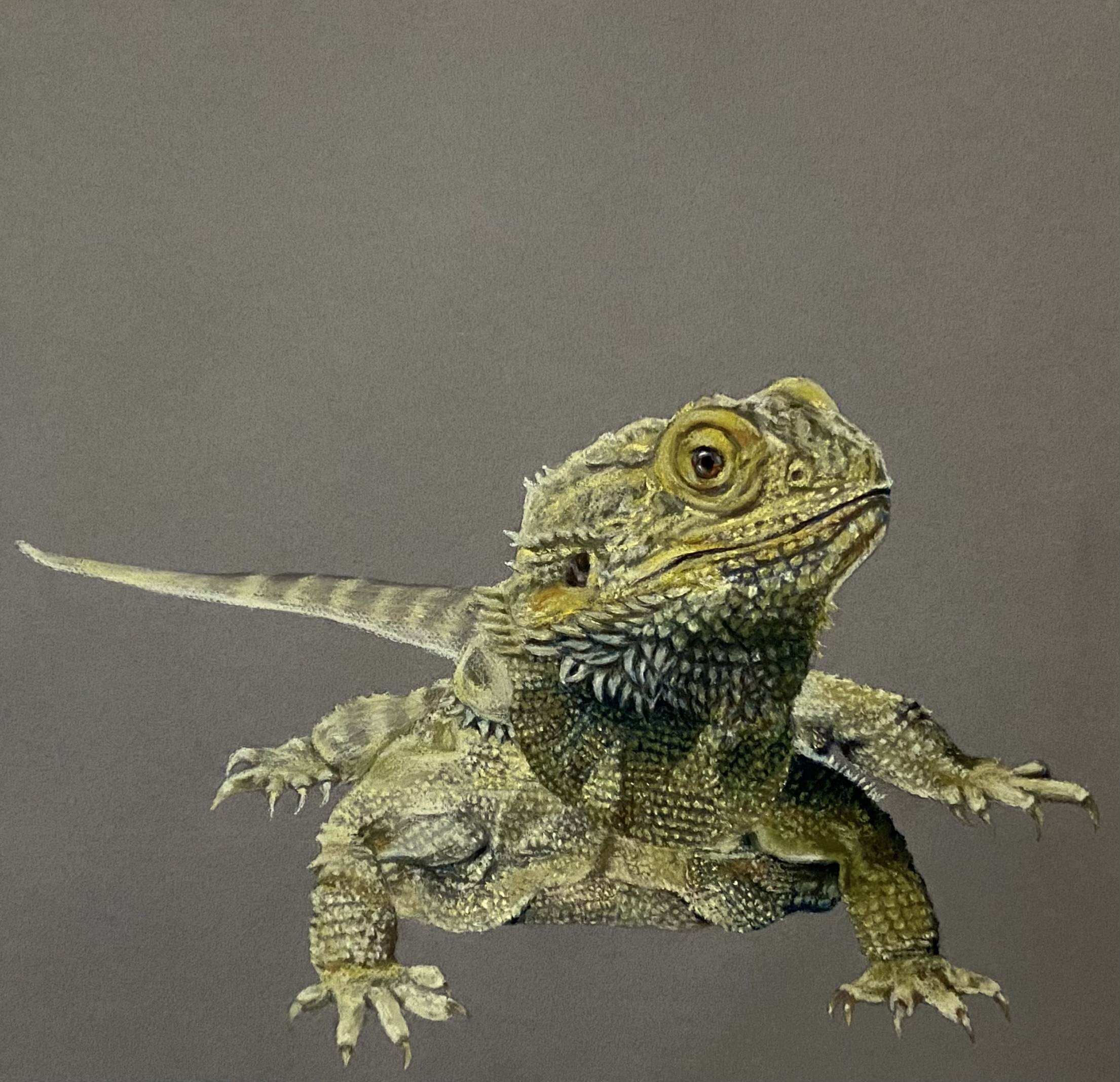 Lil' Dwayne - Chalk Pastel