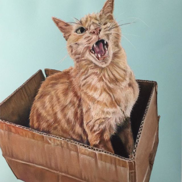 Magoo - chalk pastel - 2017