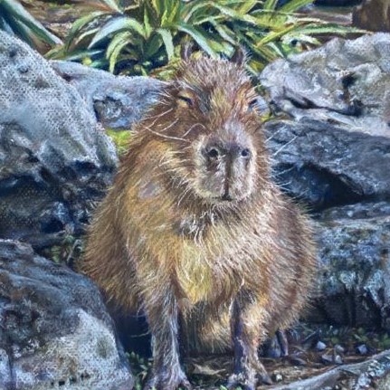Capybara